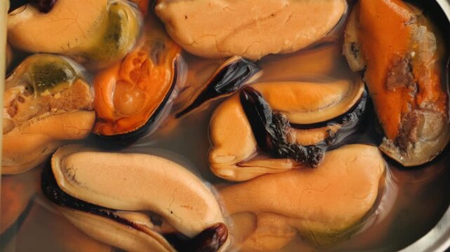 Close-up of canned mussels in own juice. Seafood texture, ready-to-eat product. High quality 4k footage