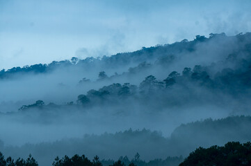Fototapeta premium The view of Da Lat from Du Sinh Cemetery towards the city center. Da Lat on a morning shrouded in mist and early sunlight, a magical morning light. Beautiful Vietnamese scenery.