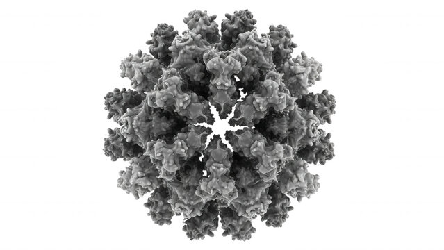 A detailed microscopic view of a spherical viral capsid structure with complex geometric protein subunits isolated on a solid black background
