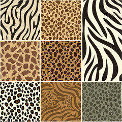 Obraz premium abstract animal skin pattern vector