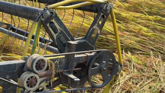 A combine harvester moves across cultivated rice terrain performing systematic seasonal crop collection across structured farmland. Precision farming.