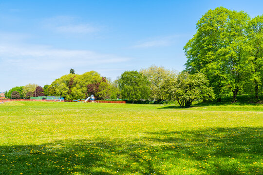 A picturesque spring parkland scene with blooming trees, fresh greenery, and daytime natural light