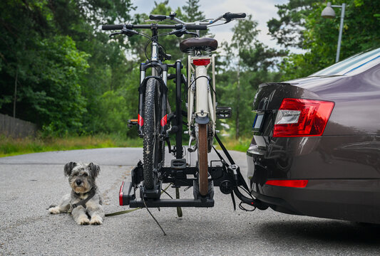 car with bicycle rack and dog on leash parked during outdoor road trip travel in summer