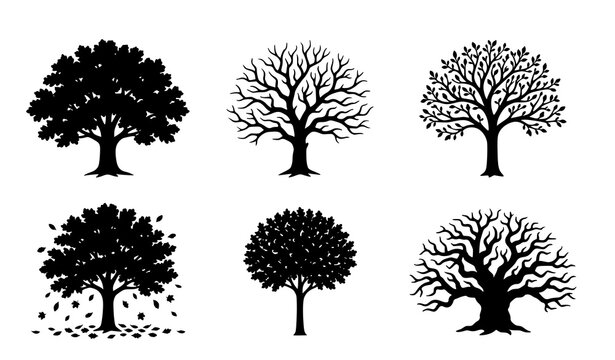 Oak tree outline bundle with varied canopy and branch forms clean line art vector isolated on white background