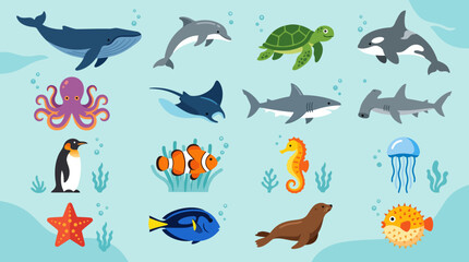 Colorful illustrations of various sea creatures. © Abhinaya Project