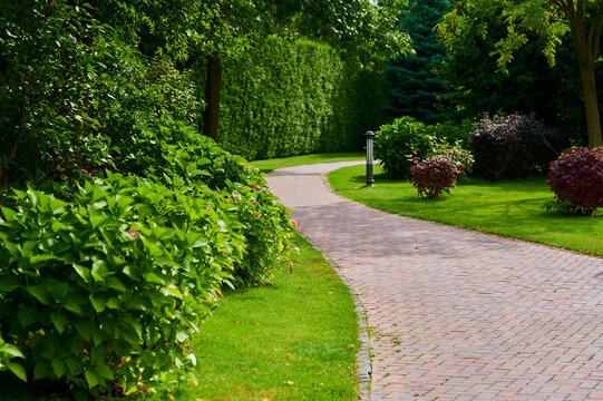 Winding pathway surrounded by lush greenery in a serene garden setting
