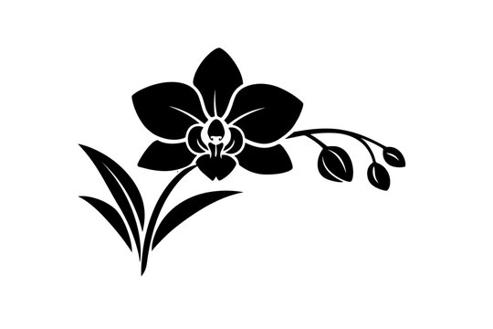 Minimalist high contrast black and white orchid ink illustration for elegant floral design featuring a simple flat vector style ideal for botanical art greeting cards and stylish decor.