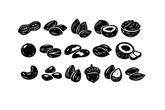 Set of various nuts silhouettes in a doodle hand-drawn style, black color icons featuring almond, walnut, peanut, and hazelnut designs for healthy food branding and organic snack packaging.