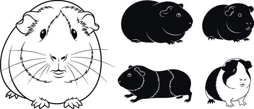 Guinea Pig Vector Set with Cute Cartoon Line Art Portrait and Black Silhouette Icons for Pet, Rodent, Cavy and Small Animal Logo Design Elements