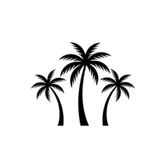 Fototapeta premium Three white outline palm trees isolated on a transparent background