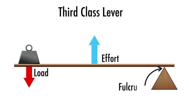 Third class lever mechanism demonstrated with load effort and fulcrum for educational science footage.