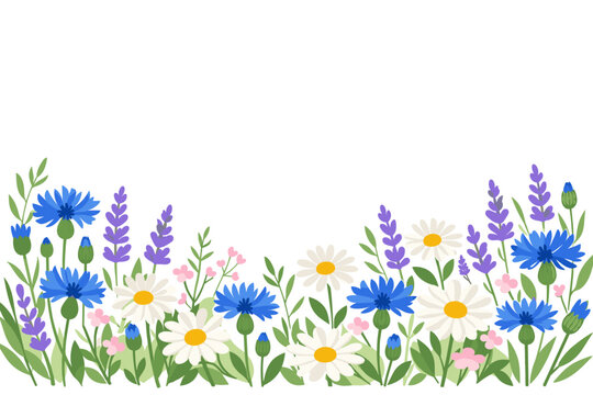 Elegant watercolor wildflower bouquet featuring cornflowers lavender and daisies as a summer floral border design perfect for wedding invitations greeting cards and decorative nature art projects.
