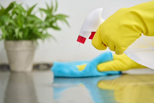 Hand, spray and a woman cleaning a metal surface in her home for hygiene or disinfection. Rubber gloves, product and bacteria with a female cleaner using detergent to spring clean in an apartment
