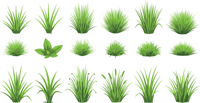 Green Grass Tuft Vector Collection with Lawn Bushes, Meadow Blades and Spring Plant Elements for Game Assets, Landscape and Nature Design