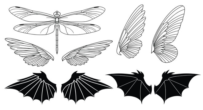 Scientific study of various wing types featuring detailed line drawings of dragonfly and butterfly wings and black bat silhouettes.