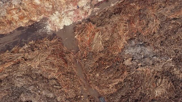 Aerial view of sugarcane bagasse processing and handling in probolinggo