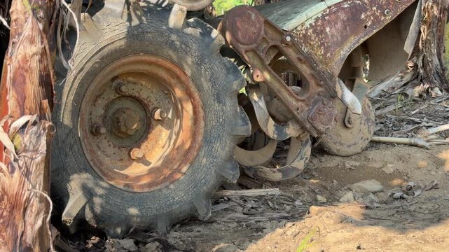 A metal wheel of a compact agricultural tiller stands beside a banana tree trunk within a tropical plantation area used for seasonal ground preparation. Field cultivation.