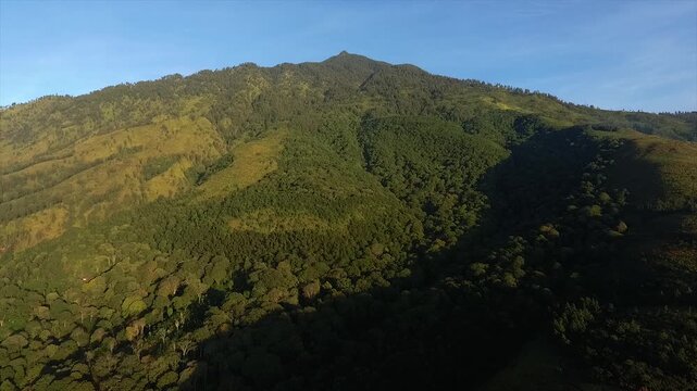 Stunning aerial view of the majestic green peak of Mount Arjuno under the clear blue sky in the morning.