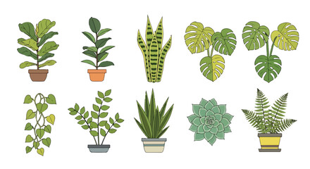 A vibrant collection of nine potted plants © Babat