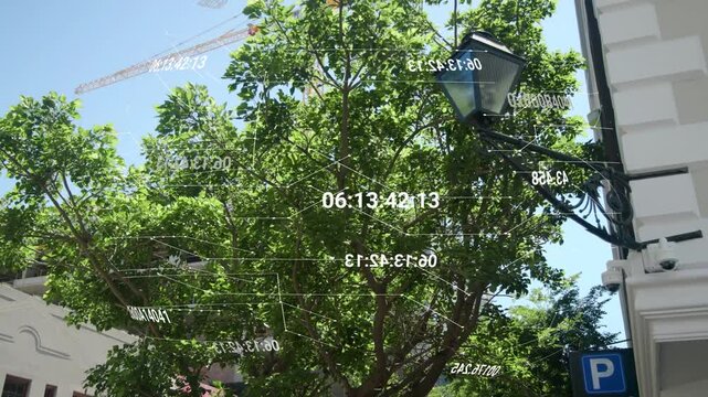 Translucent AR overlay appearing, canopy nodes shifting and rotating to map branch structure