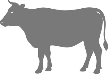 Obraz premium Gray cow silhouette standing alone on white background for illustration and design use
