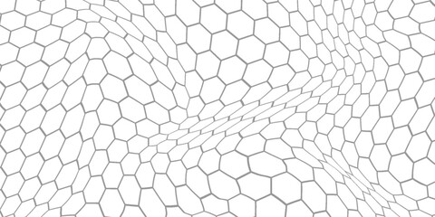 Fishing or soccer net. Repeated hexagon pattern. Black wired mesh texture isolated on white background. © Putra