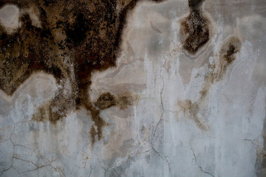 Abstract Mold Wall Texture with Moisture Damage
