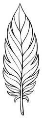 Fototapeta premium Detailed black and white illustration of a stylized feather design. Artistic hand-drawn art
