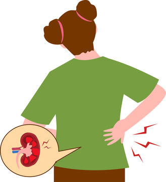 Woman experiencing back pain, illustration of kidney stones and backache