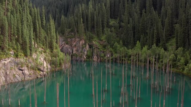 Drone flying forward over Kaindy lake, smooth motion across turquoise glacial water with submerged spruce trunks in Kazakhstan, unique sunken forest landscape in mountain national park