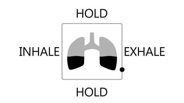 Monochrome of human lungs with breathing phases inhale hold exhale text on a white background with grey accents