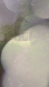 Vertical video: Droplets drifting off lens showing dirt path past two trunks toward fenced clearing