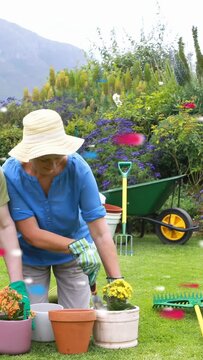 Vertical video: Woman potting man joining gardening duo arranging pots, specks floating overhead