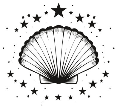 Stylized seashell illustration with a constellation of stars simple linear drawing style for graphic design branding or tattoo vector