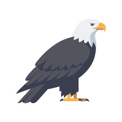 Obraz premium Bald eagle illustration with white head, dark feathers, and sharp yellow beak, shown in side view on isolated background in flat vector style