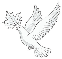 Fototapeta premium Elegant dove flying with a maple leaf in its beak, symbol of peace and nature, delicate monochrome illustration, vector style, perfect for autumn or seasonal designs
