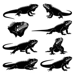 Fototapeta premium black and white silhouette vector set of Blue Iguana