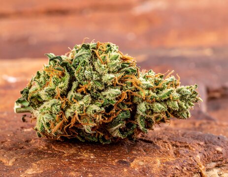Cannabis Bud Closeup.