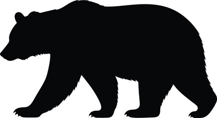 Fototapeta premium Black silhouette of grizzly bear walking profile view on transparent background vector illustration.