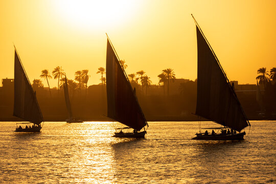 Traditional Egyptian felucca sailboats sailing on the Nile River at sunset with palm trees and city skyline in the background, Luxor, Egypt.
