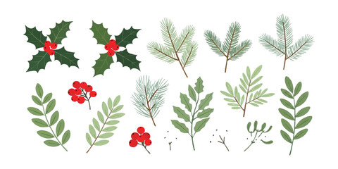 Set of hand drawn christmas leaves holly berries and pine branches for seasonal holiday design © Sharmin