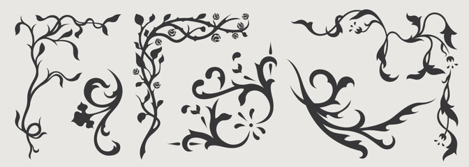 Vector design element of classic baroque ornaments with elegant scrollwork, medieval details.