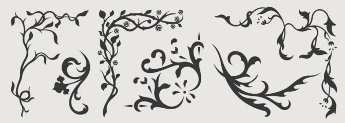 Vector design element of classic baroque ornaments with elegant scrollwork, medieval details. © softulka