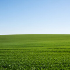 Obraz premium Vast green field under a clear blue sky a serene landscape 2.