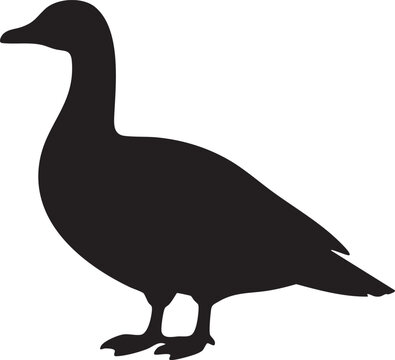 Black silhouette of a standing duck on white background animal bird waterfowl