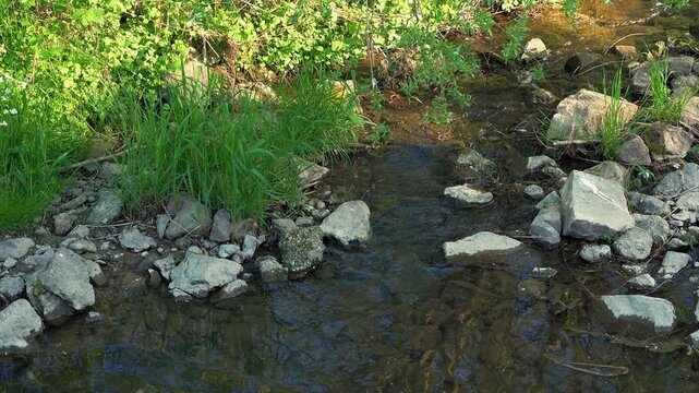 Natural stream with bright stones