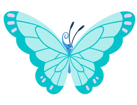 butterfly vector illustration