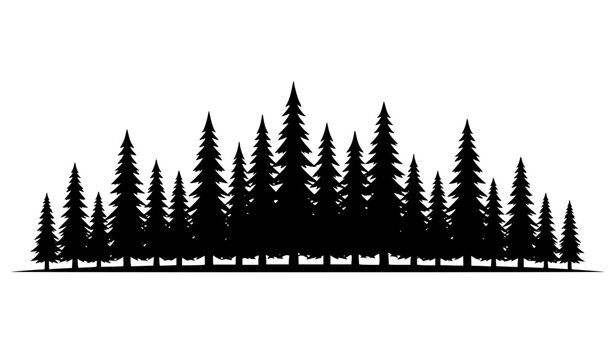 Evergreen forest silhouette with pine trees landscape vector illustration isolated on white background