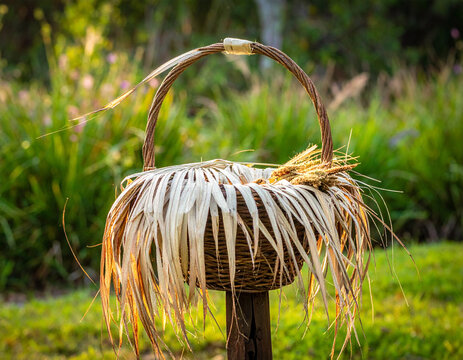 Basket weaving materials including long dried sweetgrass and palmetto leaves arranged on a rustic outdoor work table.