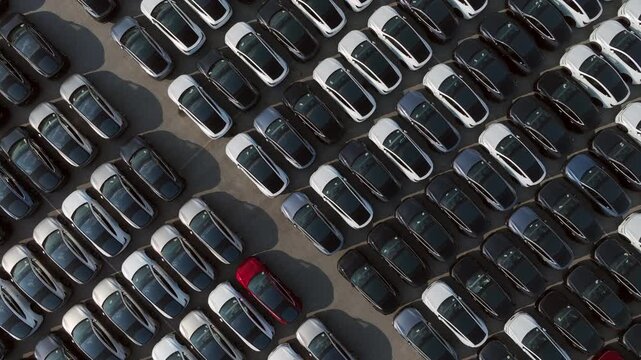 Aerial view car for sale stock lot row, Cars dealership inventory distribution automobile and automotive business.	
